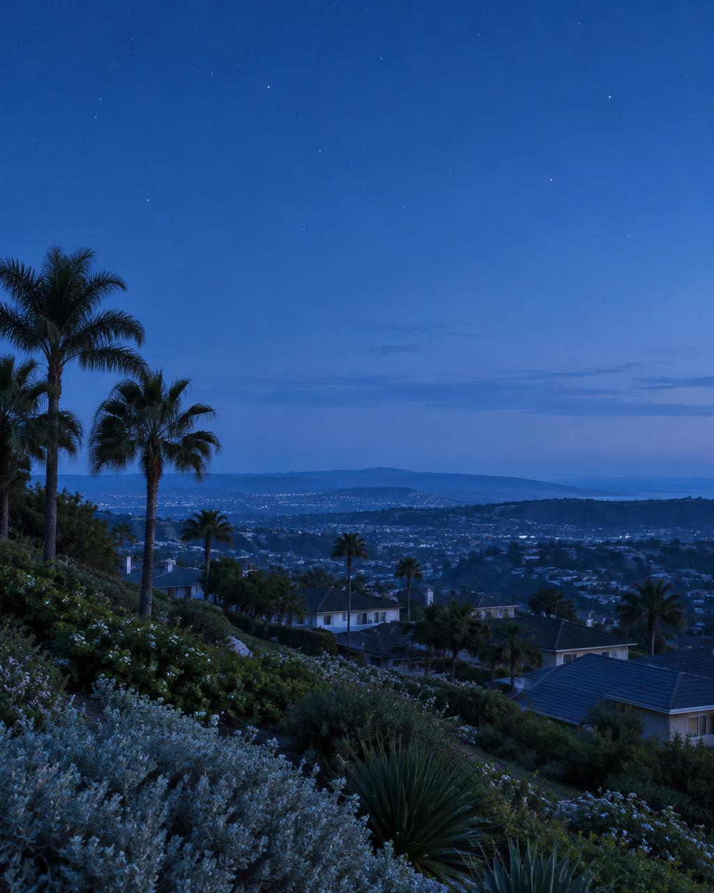 Residential hills and palms beneath an early night sky