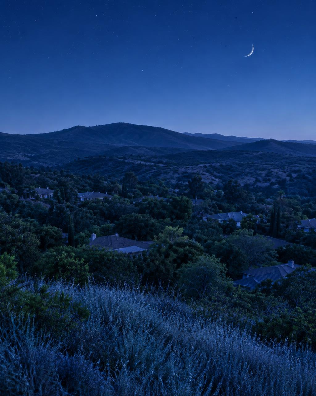 A county hillside with rooftops and a crescent moon