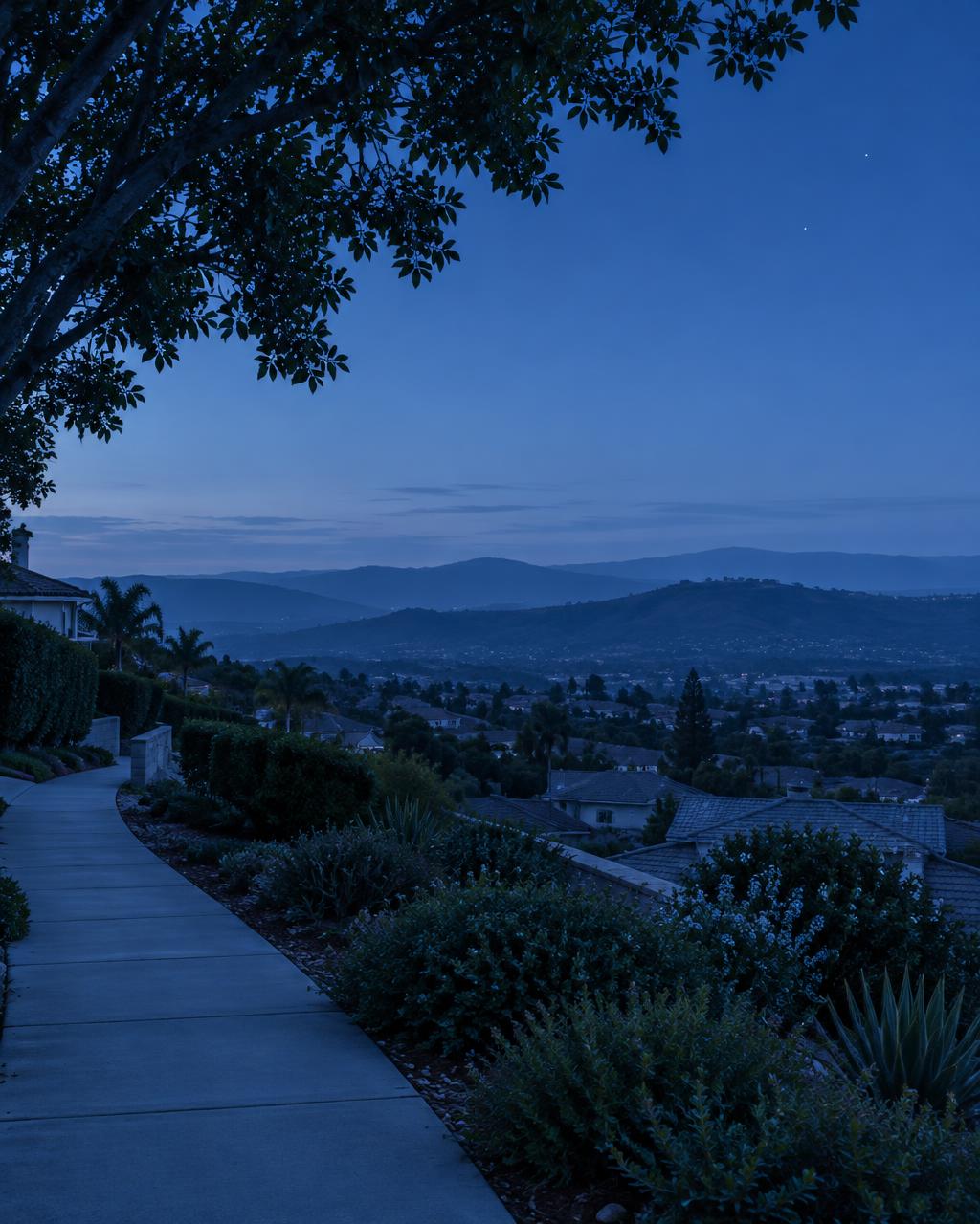 A hillside sidewalk beneath a cool blue twilight sky